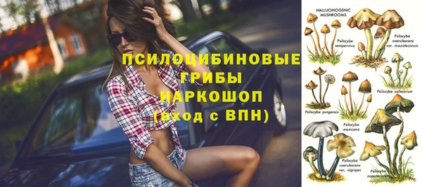 ПСИЛОЦИБИНОВЫЕ ГРИБЫ Абаза